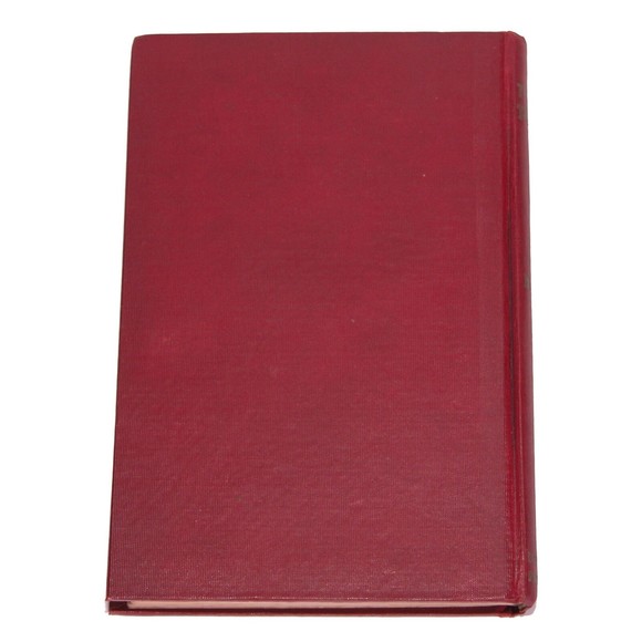 The Way That Wins: Principles of Pragmatic Psych, Biarne Castberg 1928 Rare HTF - Picture 2 of 11